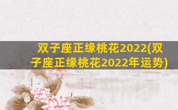 双子座正缘桃花2022(双子座正缘桃花2022年运势)